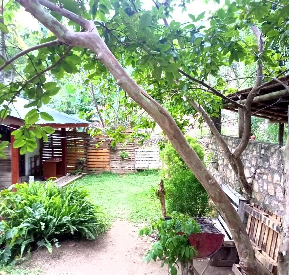 Ella Foret Accommodation Ngoại thất bức ảnh
