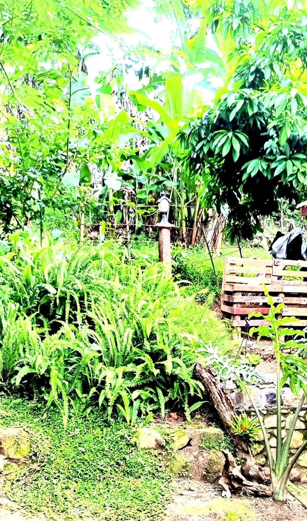 Ella Foret Accommodation Ngoại thất bức ảnh